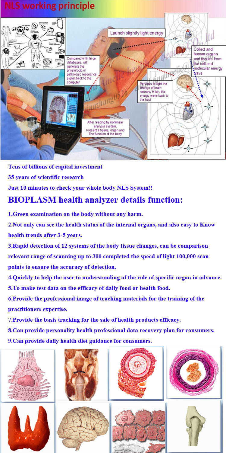 Rapid Test Professional Bioplasm-Nls Medical Auto Diagnostic Device Ce