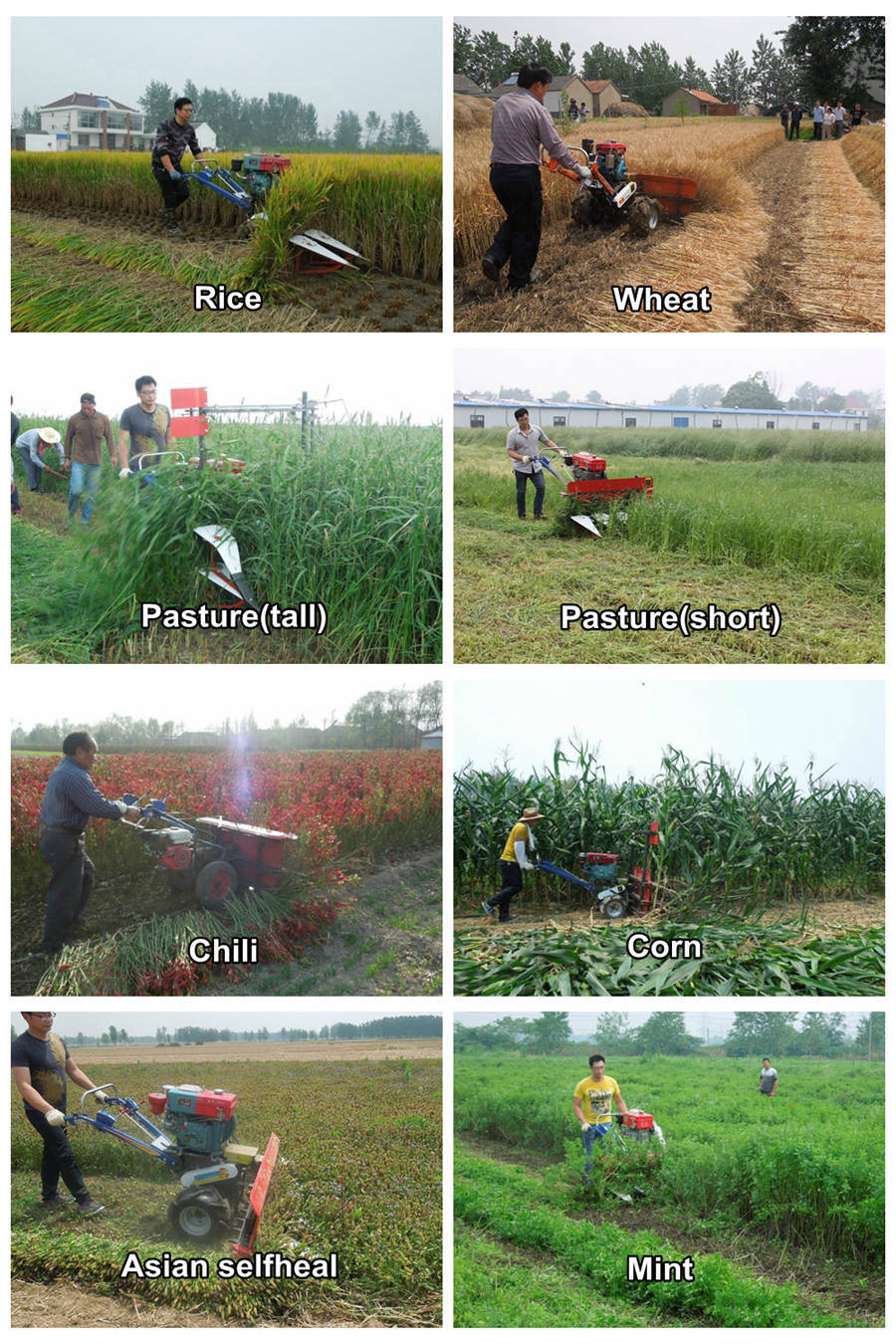 4G-120A Mini Harvester, Rice and Wheat Reaper, 120cm Cutting Width