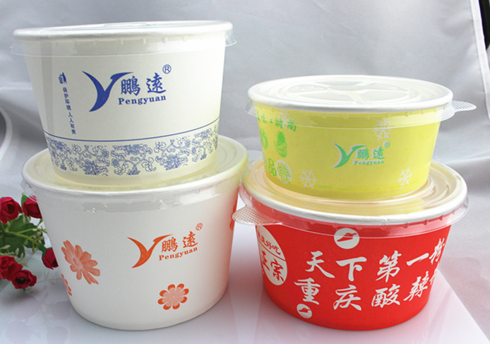 Cheap Eco-Friendly Paper Insulated Disposable Food Container