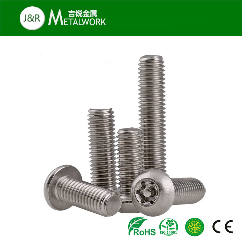 Ss304 Ss316 Stainless Steel Torx Socket Button Head / Countersunk Head / Pan Head Security Screw with Center Pin