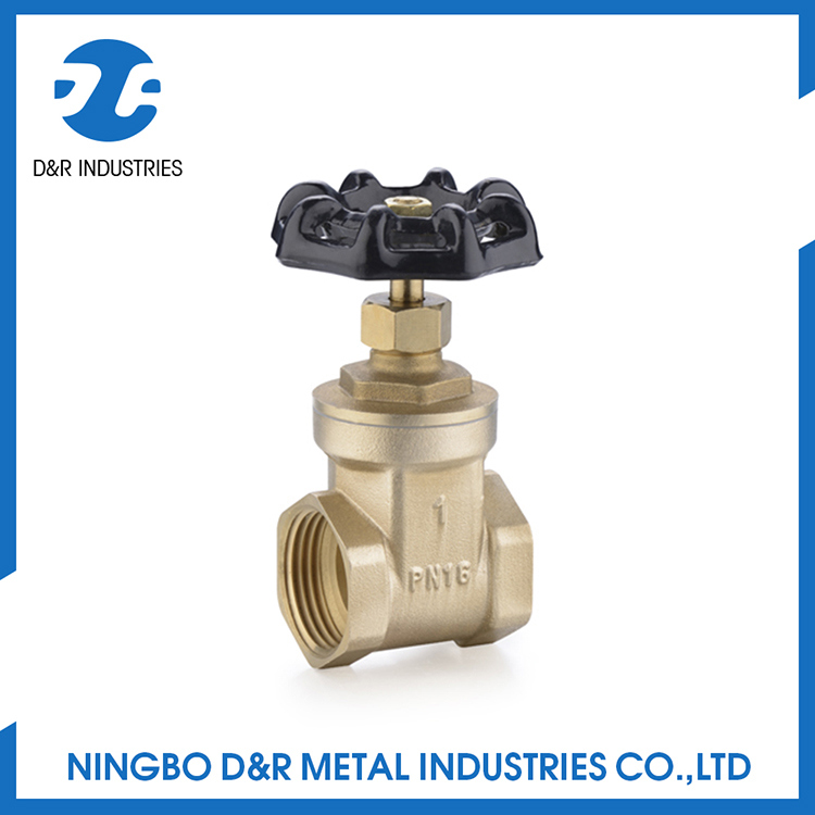 Dr 2001 Brass Wedge Gate Valve