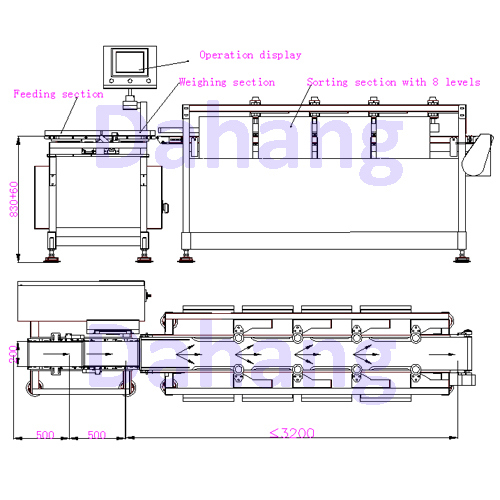 Broiler Weight Sorter (belt conveyor type) Exported to Malaysia and Iran