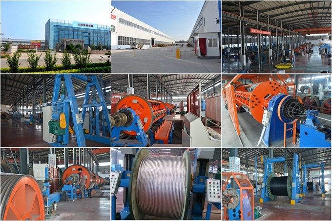 PVC Insulated Electric Wire BV/BVV/RV/Rvv/Rvs/Rvb Cable for Building and Construction