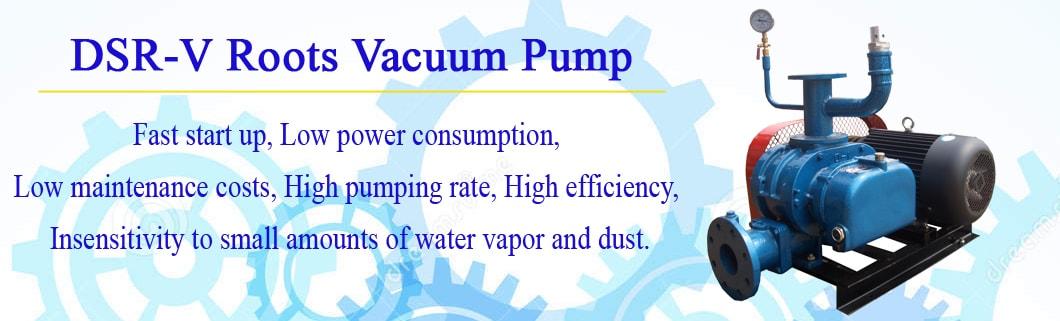 Dsr50V China Vacuum Pump for Vacuum Packaging