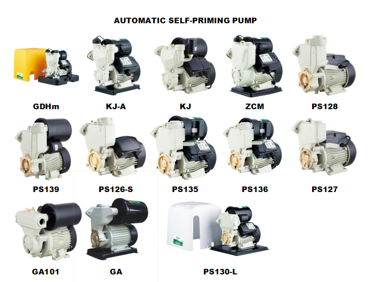 Domestic Electric Copper Wire Clean Water Pump with Casting Part