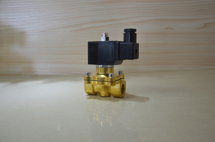 China Manufacturer 220V AC Solenoid Air Valve