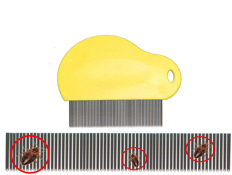 Pets Stainless Steel Hair Grooming Lice Comb