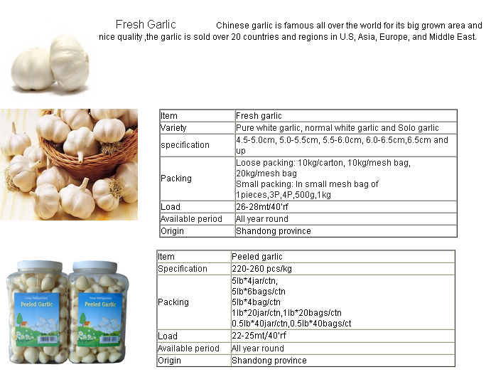 Zhifeng Food Wholesale Price 3p, 4p, 5p Fresh Garlic