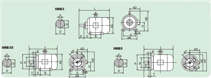 Y Series 3 Phase AC Induction Motor for Food and Agriculture Machine