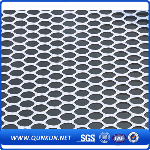 China Factory Plastic Wire Mesh for Sale