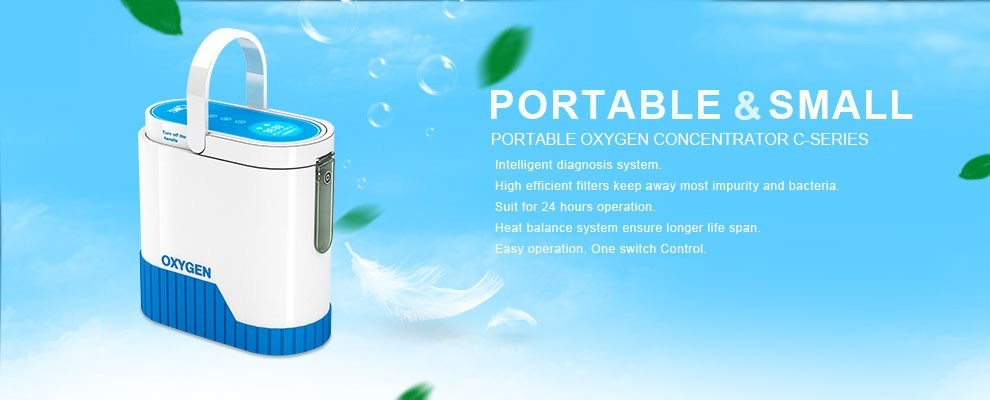 Simply Economic Mini Oxygen Concentrator for Low Price Sale