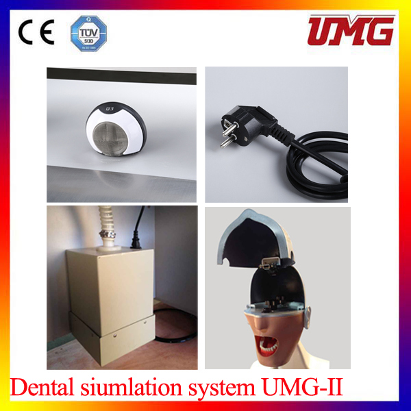 Medical Education Supplies Dental Patient Simulator