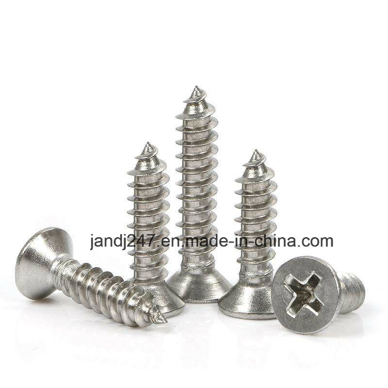 High Quality Stainless Steel 304 316 Self Tapping Screw Csk Head in Guangzhou