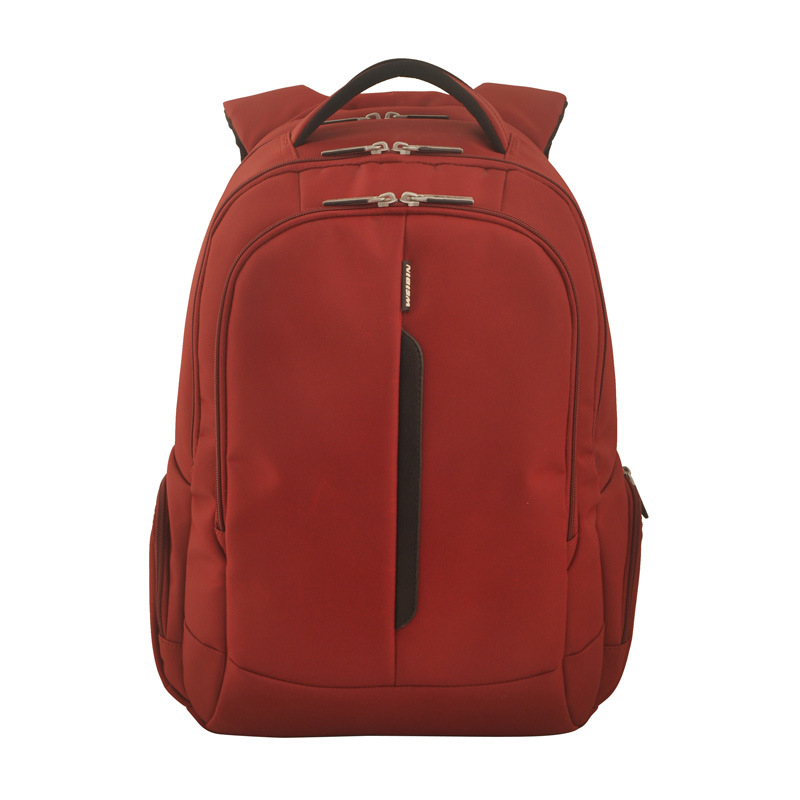 Leisure and Modern Backpack Laptop Bag Travel Bags (SB2124)