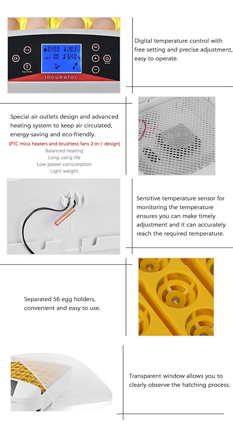 Hhd Automatic 56 Chicken Eggs Incubator with LED Light