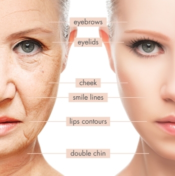 Hifu 2015 Newest High Intensity Focused Ultrasound Beauty Salon Equipment Skin Rejuvenation Wrinkles Removal