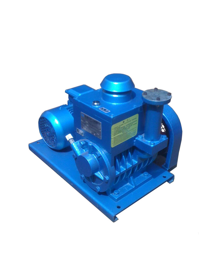 Rotary-Vane Vacuum Pump