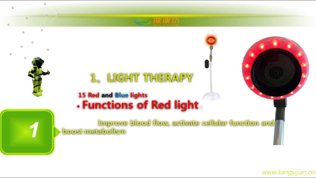 Multifunctional Home Use Medical Warm Therapy Moxibustion Machine for Beauty with 5 Modes