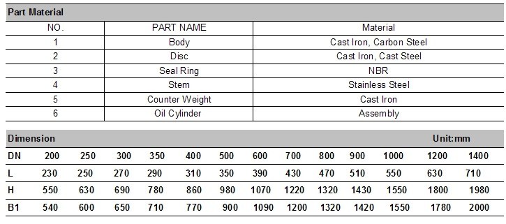 Title Disc Butterfly Type Check Valve