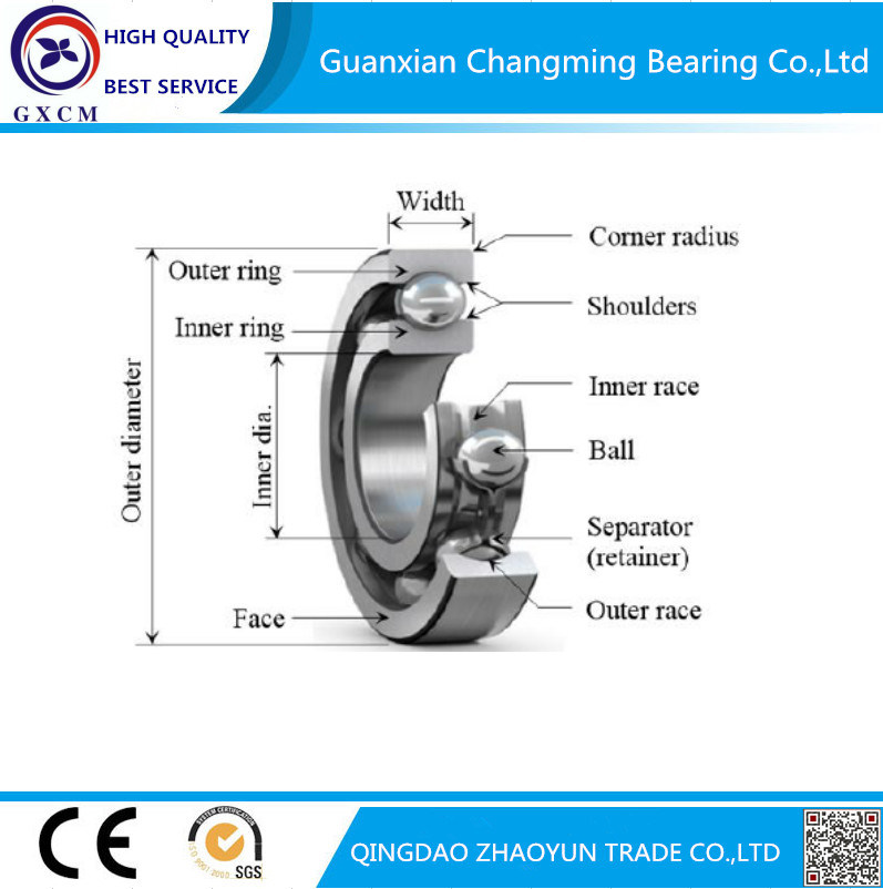 Great Quality Bearing Deep Groove Ball Bearings for Truck Parts