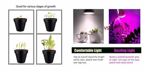 8W Grow Light Full Spectrum LED PAR20 for Indoor Plants Veg and Flower