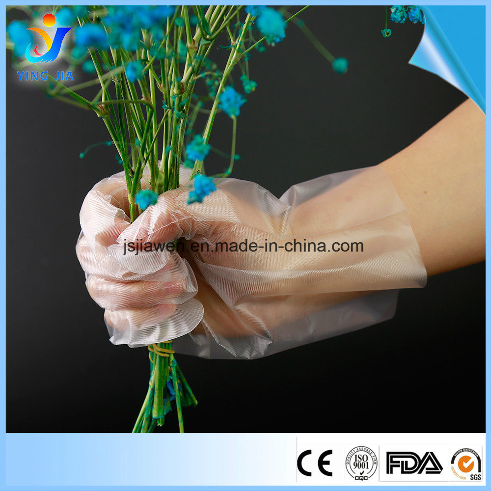 FDA Ce Approved Examination Disposable PE CPE Gloves