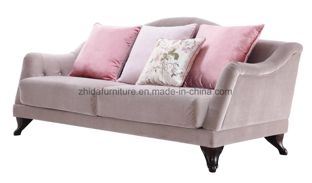 Hot Selling Nice Design Home Sofa