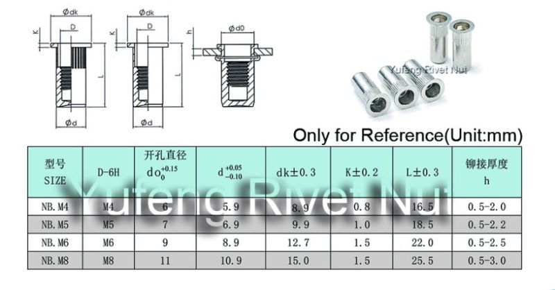 Stainless Steel Flat Head Knurled Body Closed End Rivet Nut