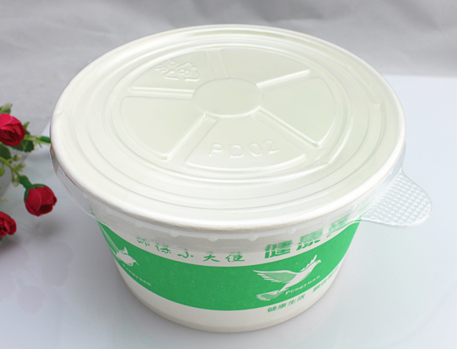 Disposable Paper Bowl with Plastic Cover