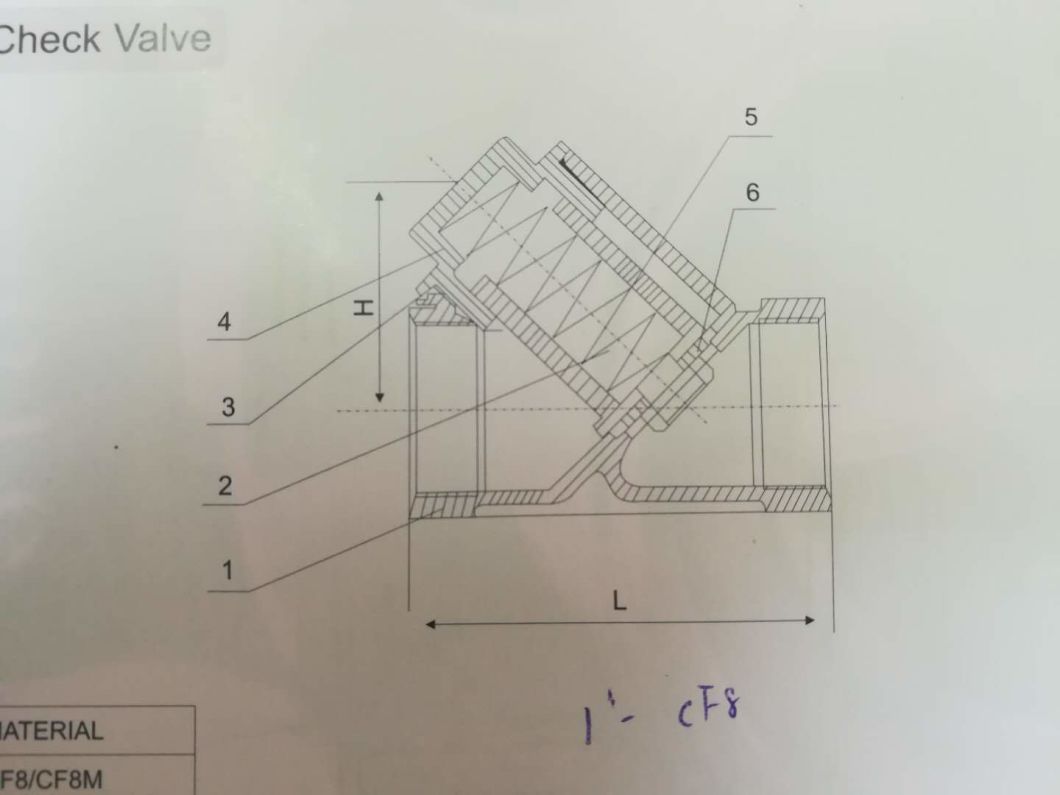 Stainless Steel 304&316 Spring Check Valve