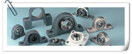 Two Bolt Flange Stainless Steel Pillow Block Bearing Ssucfl211