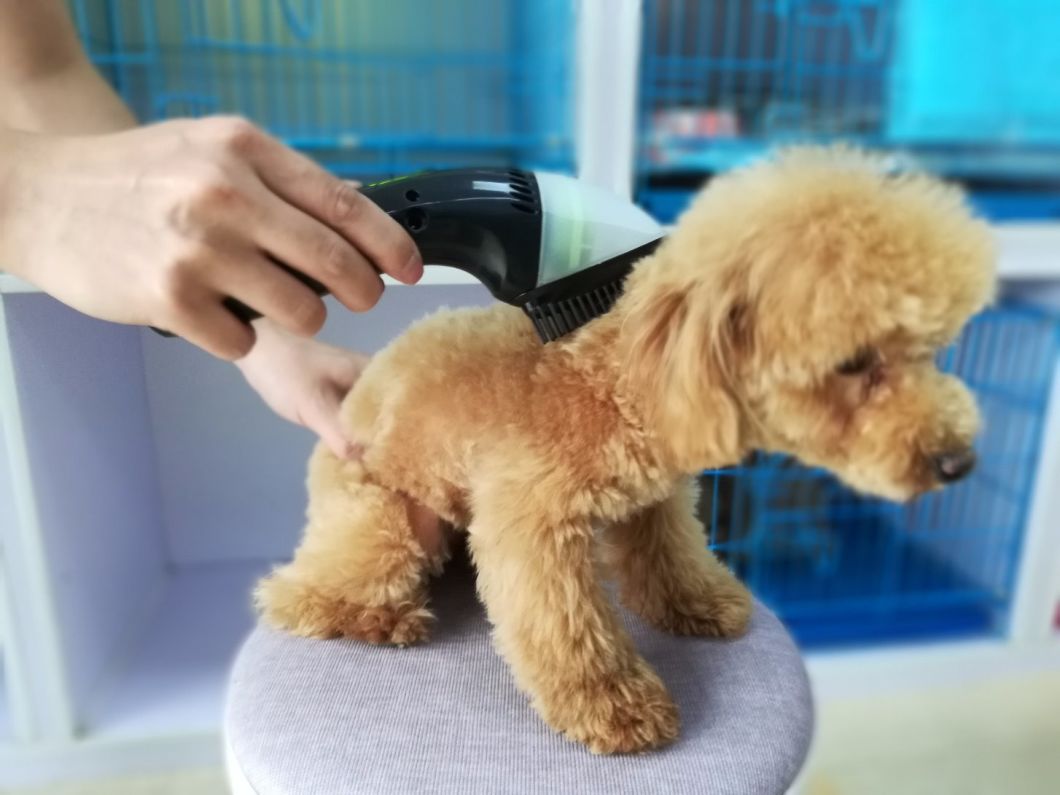 China Portable Pet Mini Hair Comb