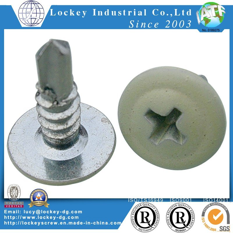 Ss304 Ss316 Self Drilling Tapping Screw Tek Screw