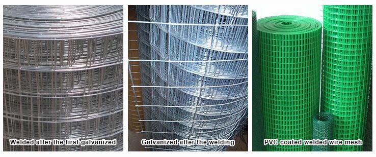 Low-Carbon Steel Square Hole Galvanized Welded Wire Mesh