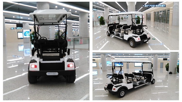 Electric 8 Seats Utility Vehicle with High Quality