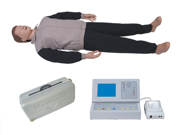 Didactic Equipment Medical Comprehensive First Aid CPR Training Manikin