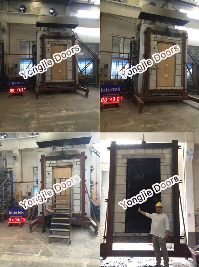 New Design Fire Rated Door for Sale