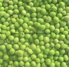 Frozen Green Peas with Good Price