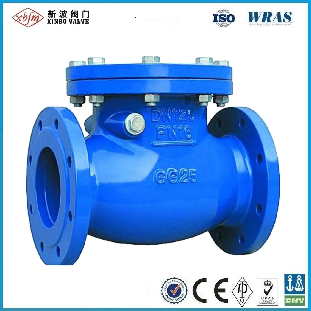 Double Flange Swing Check Valve/ Cast Iron Swing Check Valve