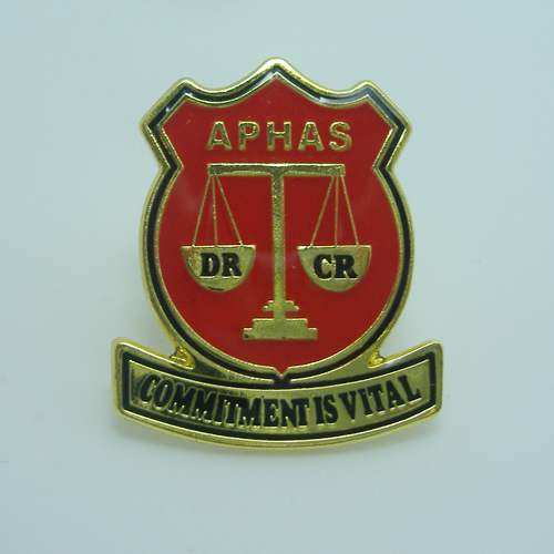 Promotional Gift Metal Lapel Pins