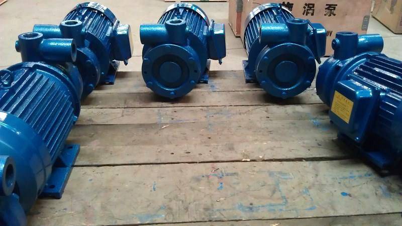 1W Single Stage Vortex Pump