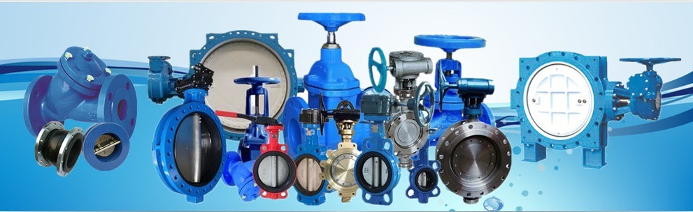 High Quality Factory Manufacture API Series Lug Type High Performance Butterfly Valve