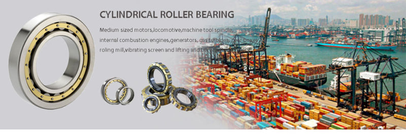 for Oilfield Mud Pump Cylindrical Roller Bearings Nu Nj Series Truck Bearings