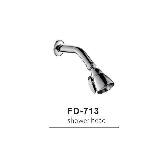 Wall Mounted Bathroom Shower Head