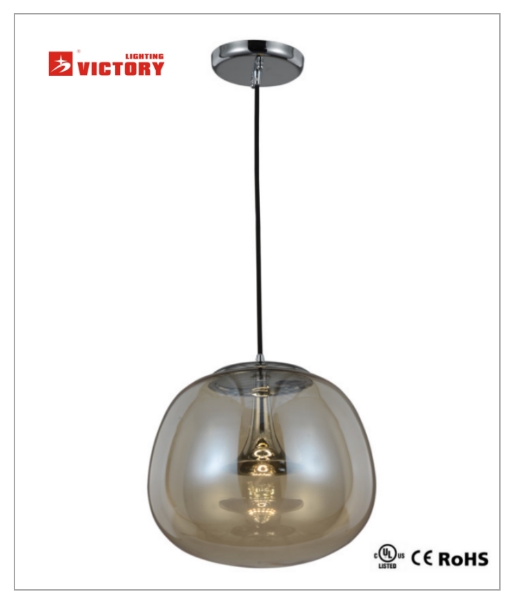 Single Hanging Pendant Light with Clear Glass for Indoor