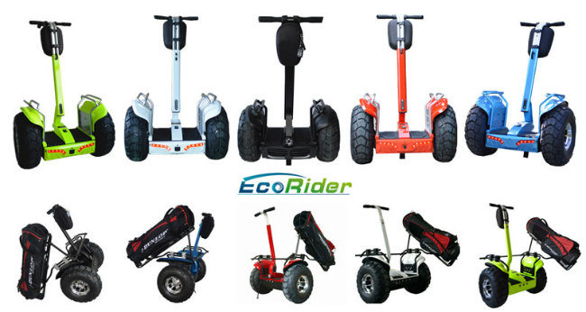 Airport 2 Wheel Self Balance Electric Scooter Golf Cart