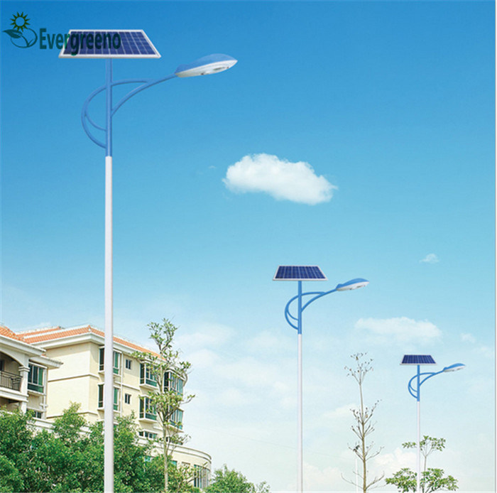 Governmental Project Solar Street Light 60W Separated Solar Panel