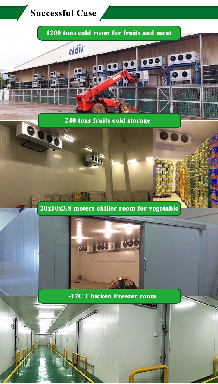 Cold Cabinet Refrigerator Second Hand Cold Room for Sale Cold Storage Freezers for Frozen Chicken Wings Cabbage Chicken Meat