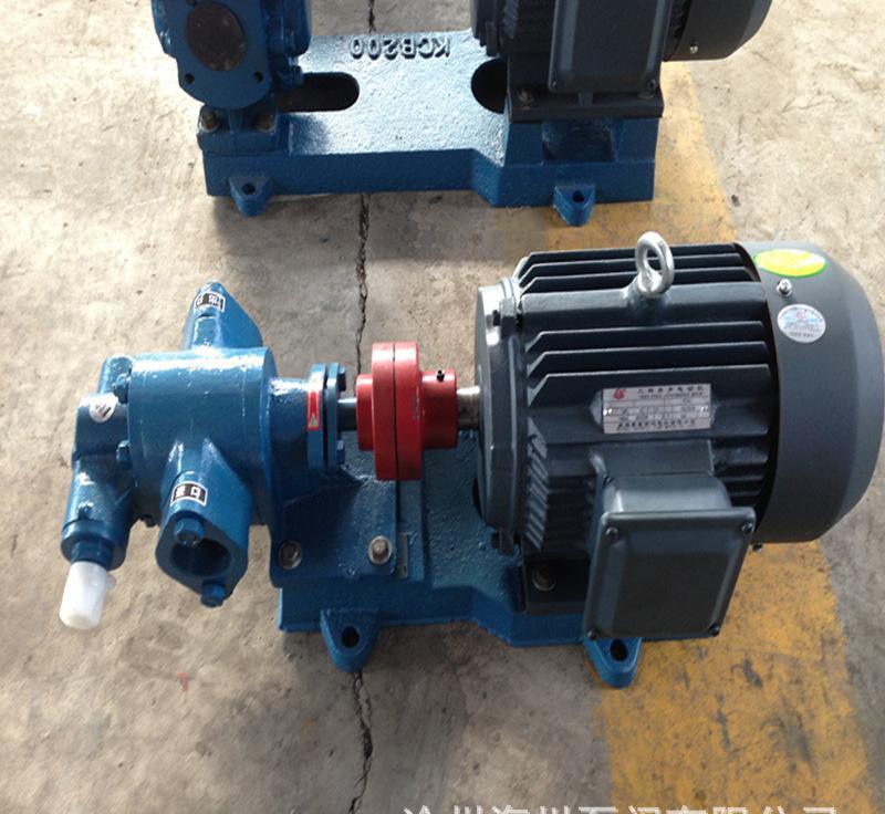 2cy Series Gear Oil Pump Gear Type Lubrication Pump