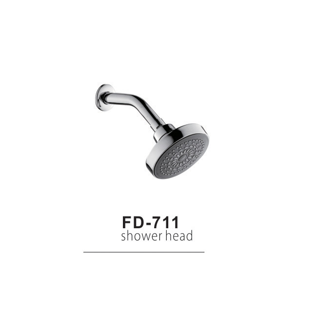 Wall Mounted Bathroom Shower Head